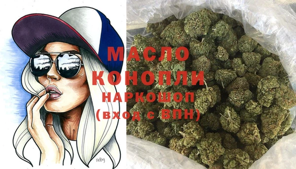 мдпв Володарск