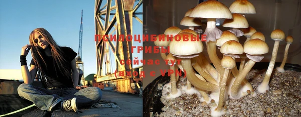 мдпв Володарск