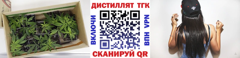 где купить наркоту  Катайск  Дистиллят ТГК THC oil 